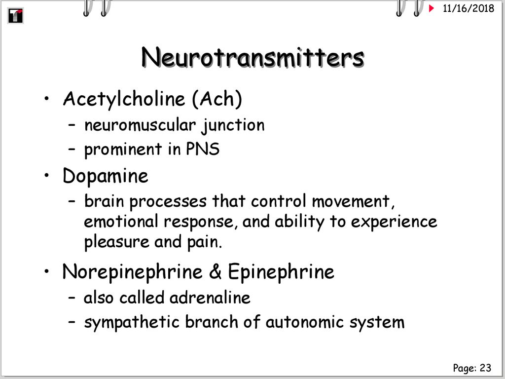 Title: Anat & Phys 11/14/06 Objectives: Class Topics - ppt download