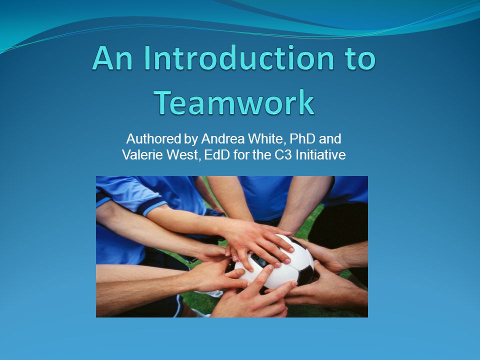 An Introduction to Teamwork