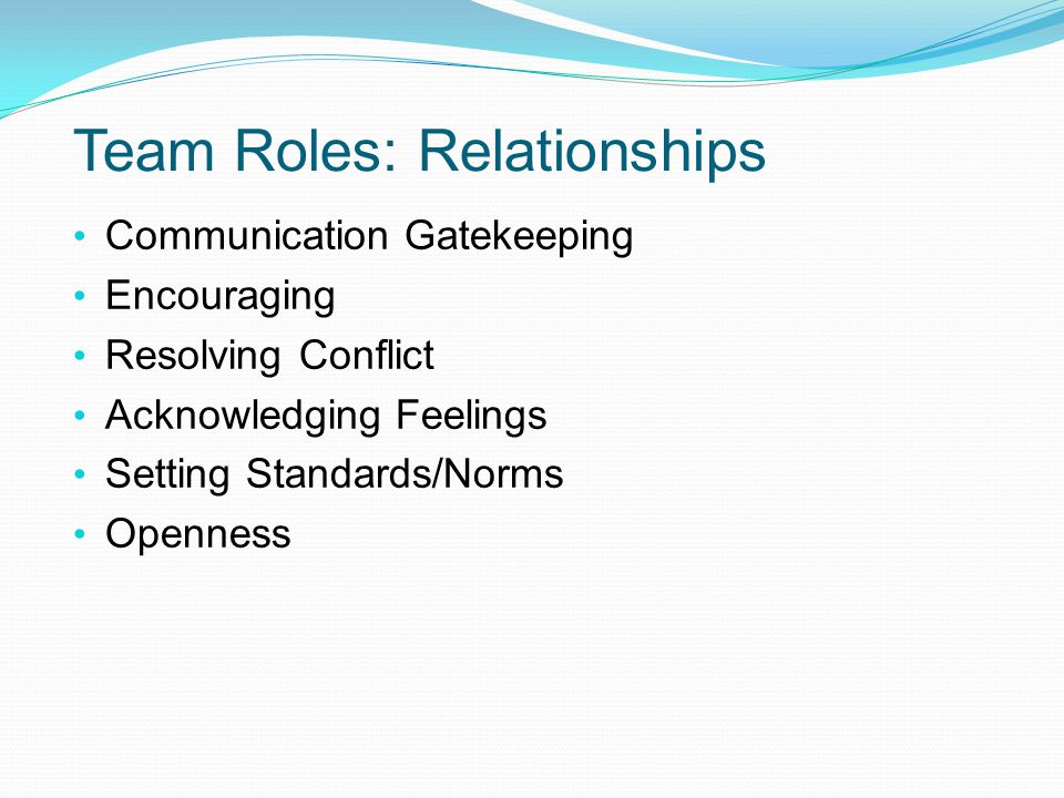 Team Roles: Relationships