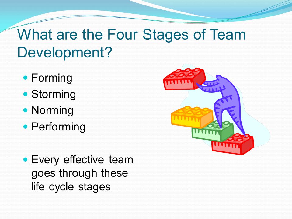 What are the Four Stages of Team Development