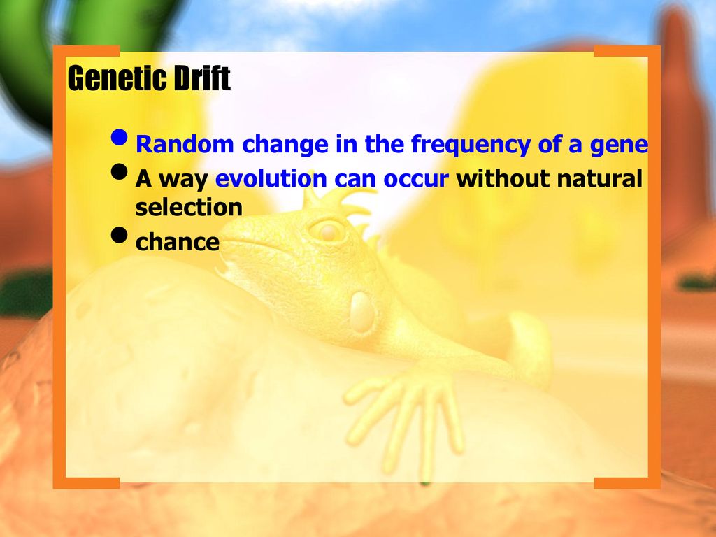 Evolution chapter 16 chapter ppt download