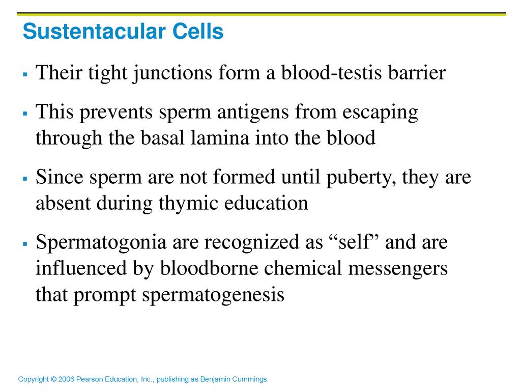 The Reproductive System ppt download