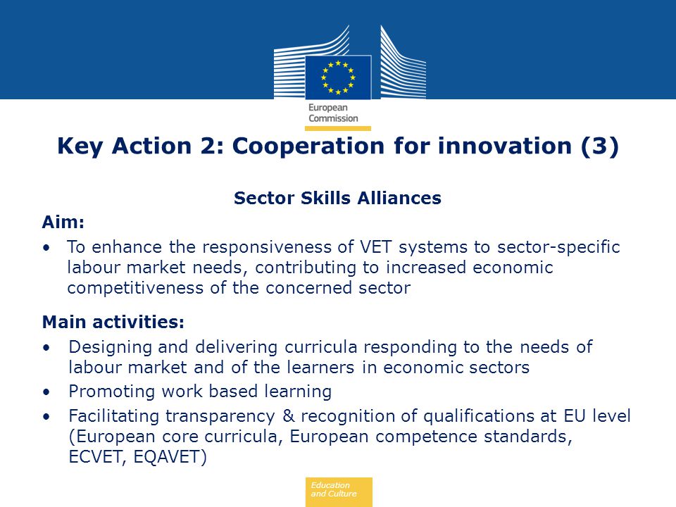 Key Action 2: Cooperation for innovation (3) Sector Skills Alliances