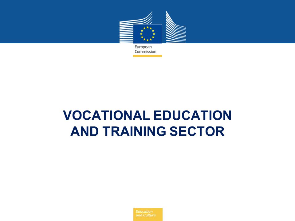 VOCATIONAL EDUCATION AND TRAINING SECTOR