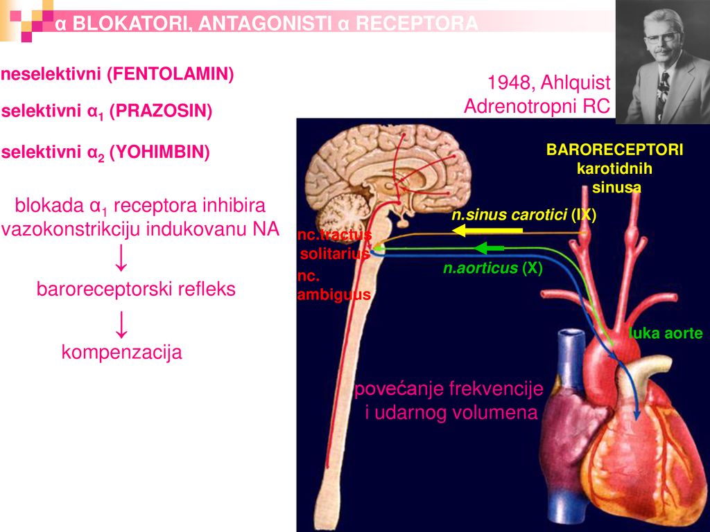 hipertenzija blokatori receptora za angiotenzin povisen samo gornji krvni pritisak