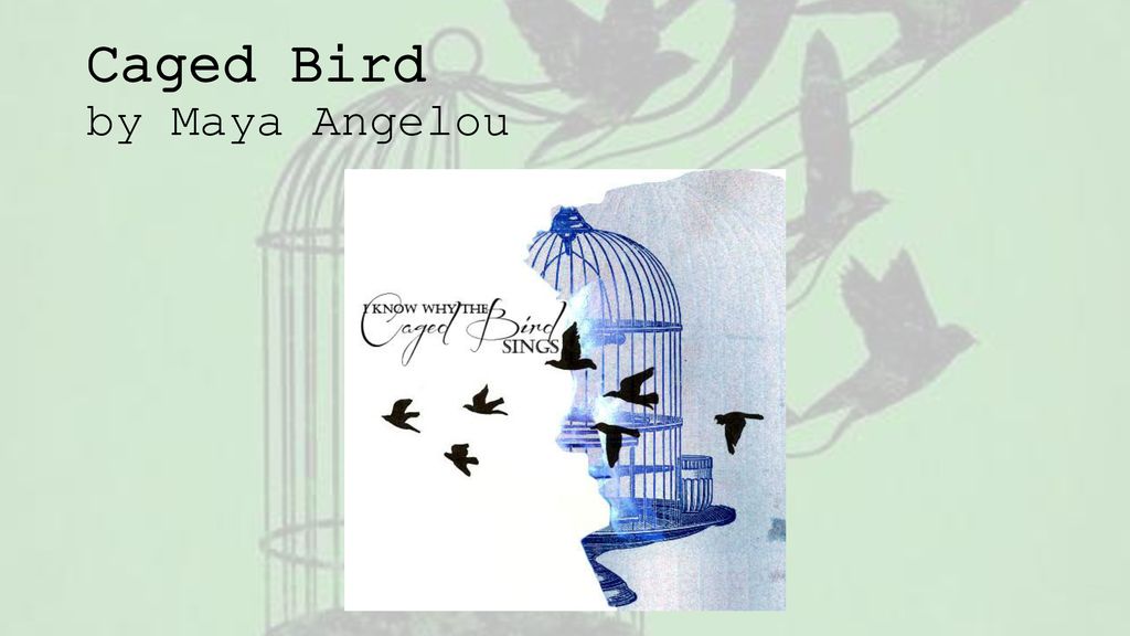 Sympathy and Caged Bird - ppt download