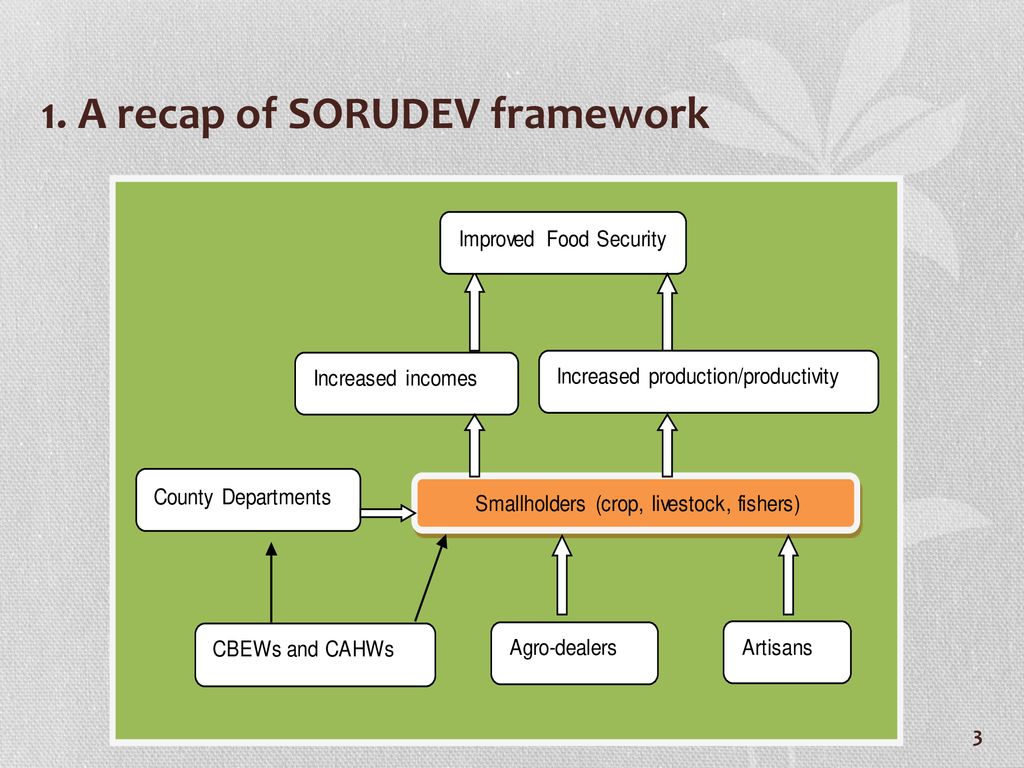 1. A recap of SORUDEV framework