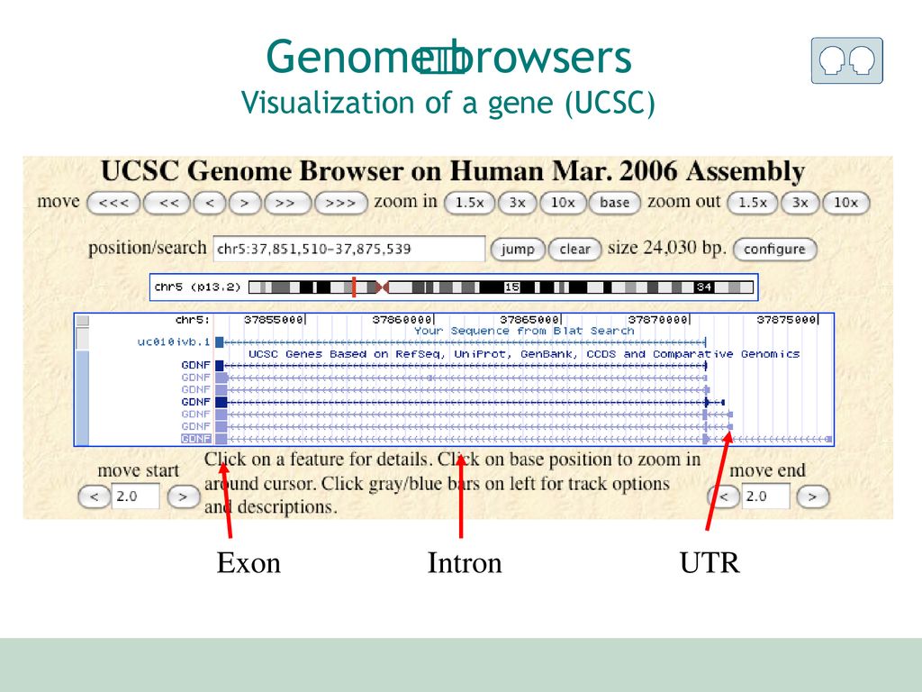 Visualization of genomic data ppt download