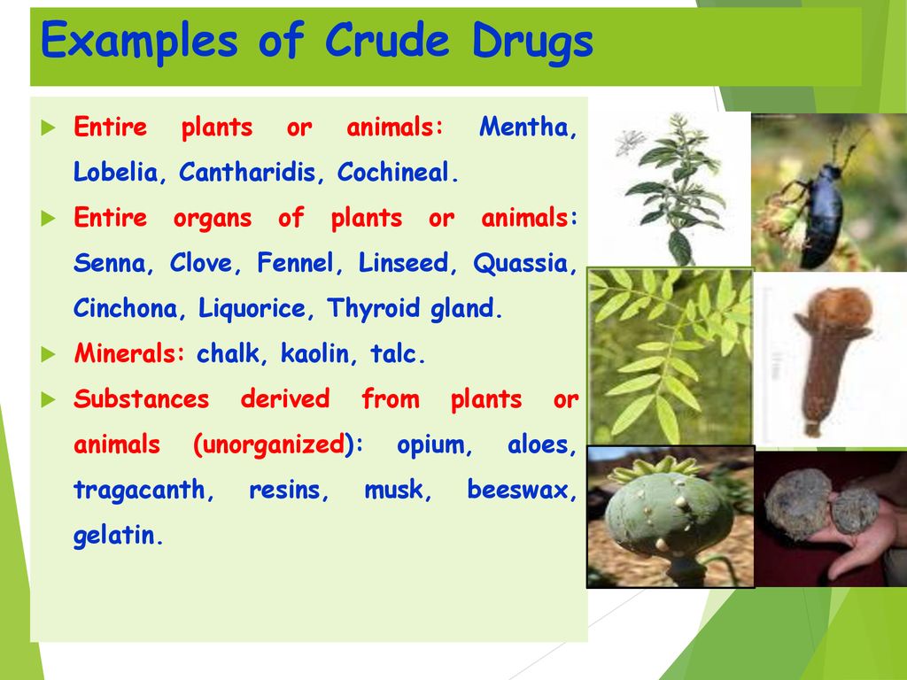 Pharmacognosy Definition - ppt download