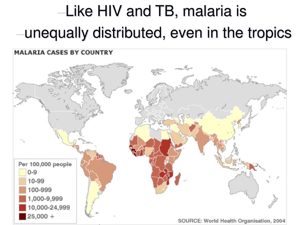 Малярия распространена. Распространенность малярии в мире 2022. Малярия ареал распространения. Карта распространения малярии в мире. Малярия в России распространенность.