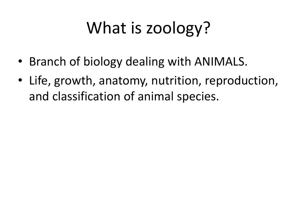 What is zoology Branch of biology dealing with ANIMALS.