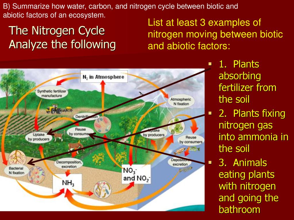 up for 4/14/14 What is a food web? Biology Diagrams