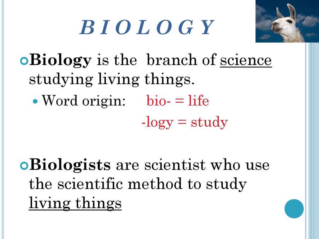 B I O L O G Y Biology is the branch of science studying living things.