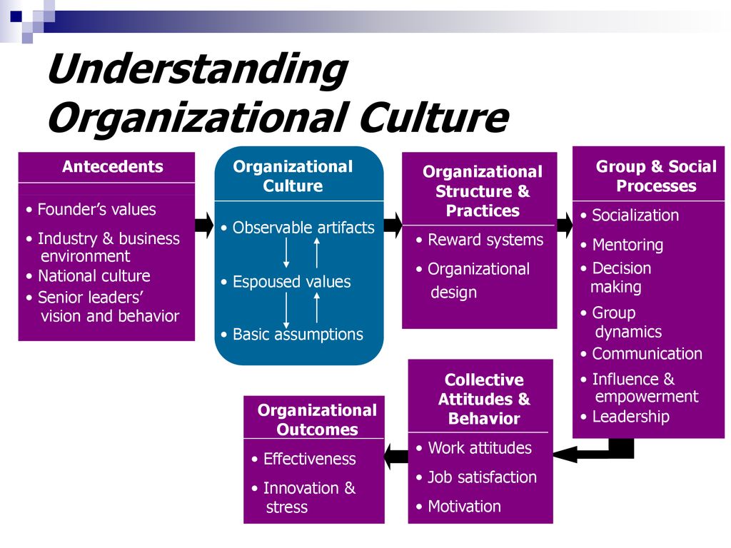 Understanding cultures. Organization Culture. Zappos organisational Culture.