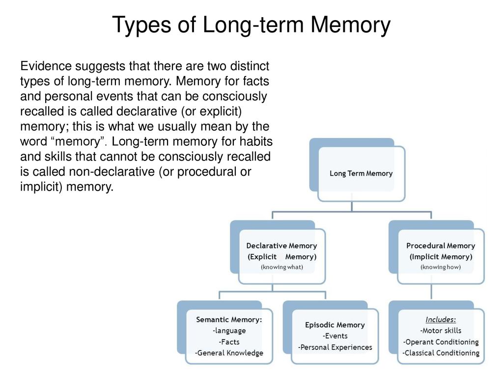 Class Schedule In-text Citations Long-term Memory: Organization