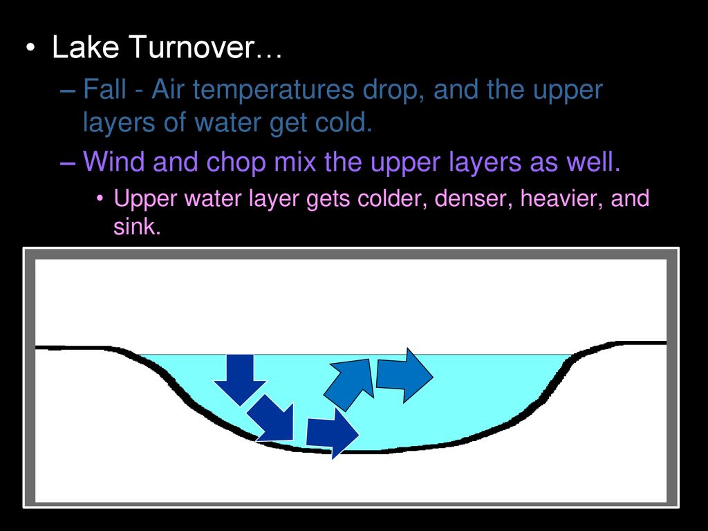 Lake Turnover… Fall - Air temperatures drop, and the upper layers of water get cold. Wind and chop mix the upper layers as well.