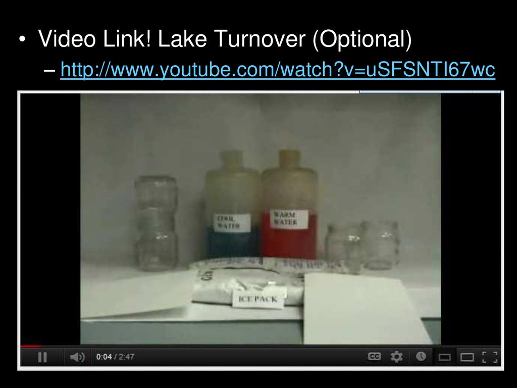 Video Link! Lake Turnover (Optional)