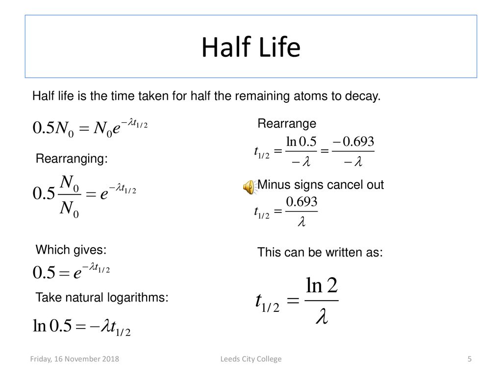 Math half life formula