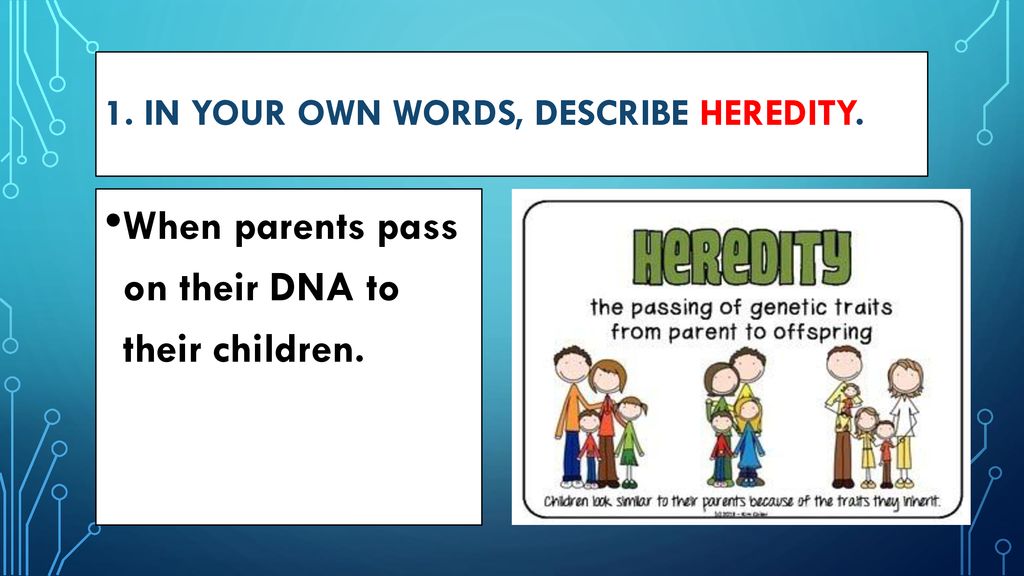 1. In your own words, describe heredity.