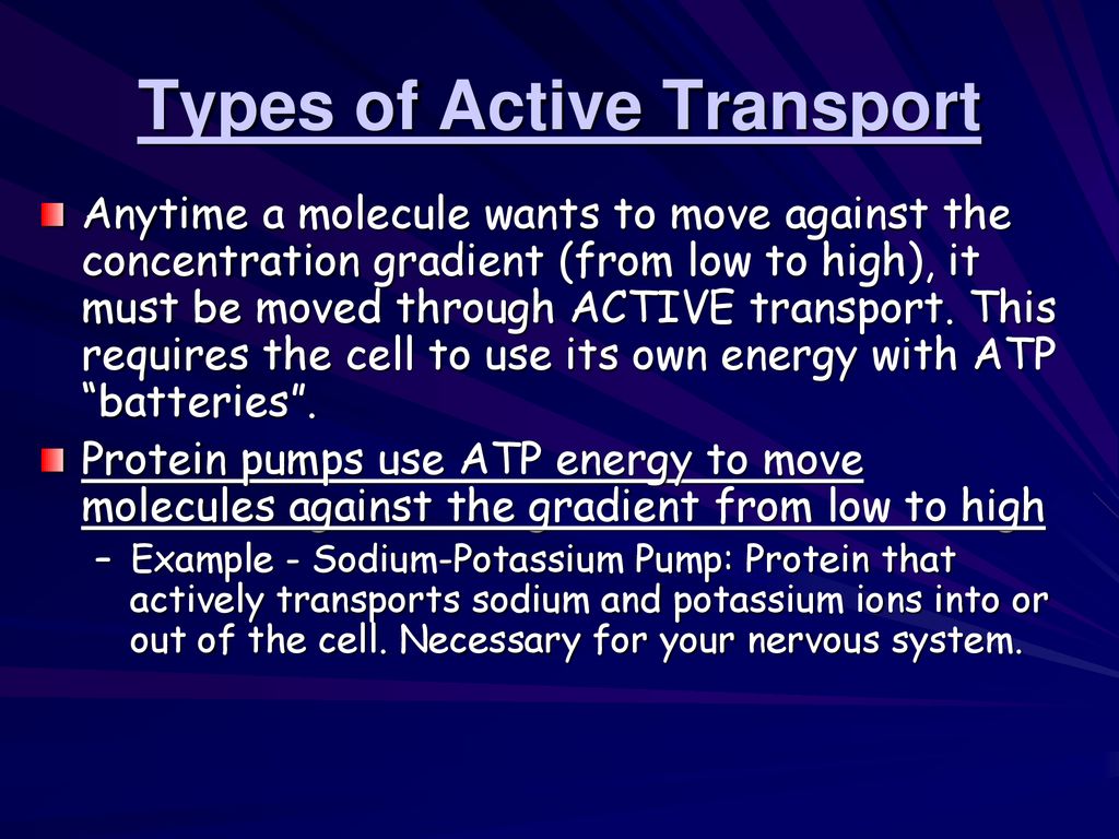 Types of Active Transport