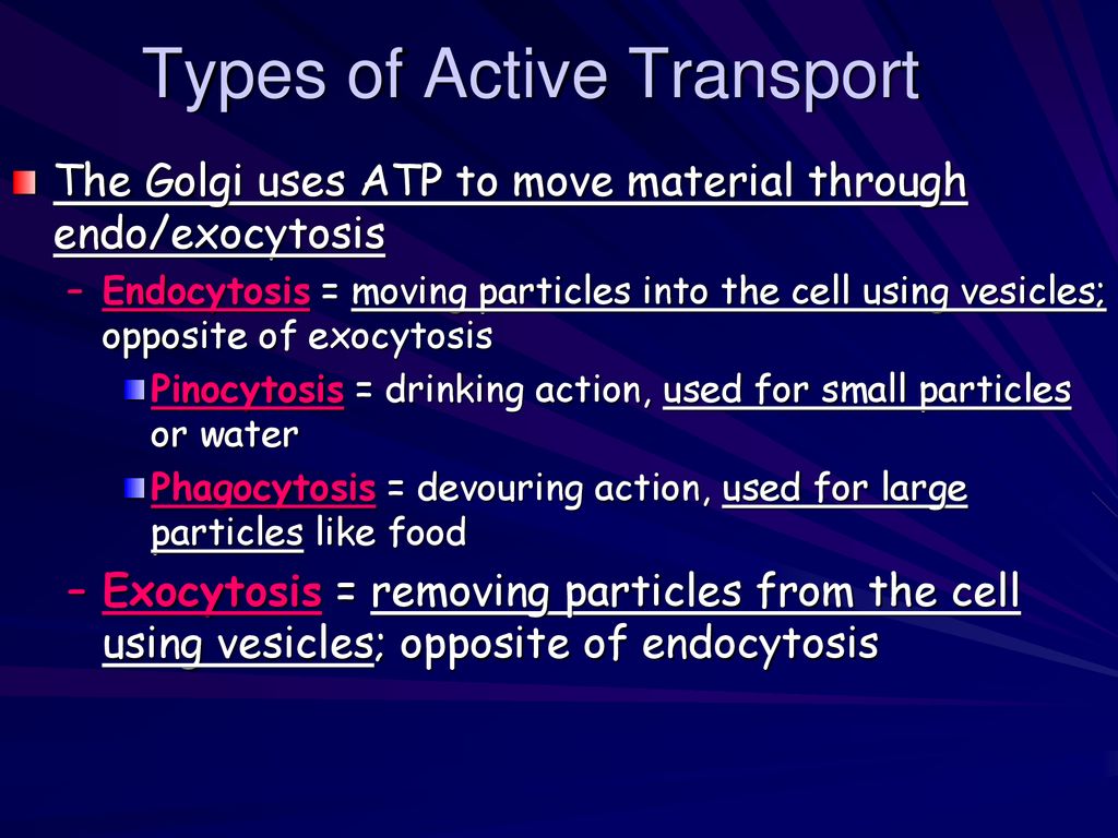 Types of Active Transport