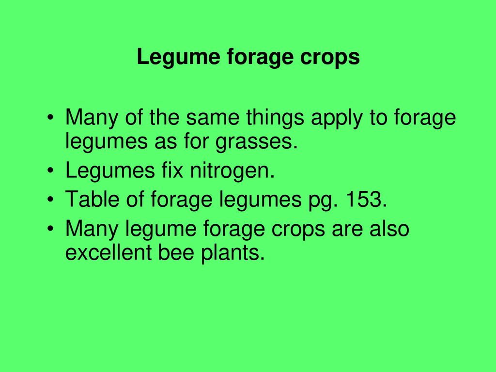 forage crops