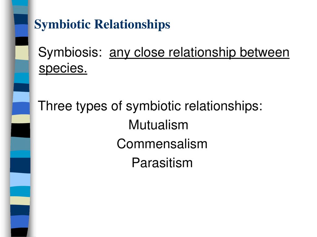 Interactions Within Communities - ppt download