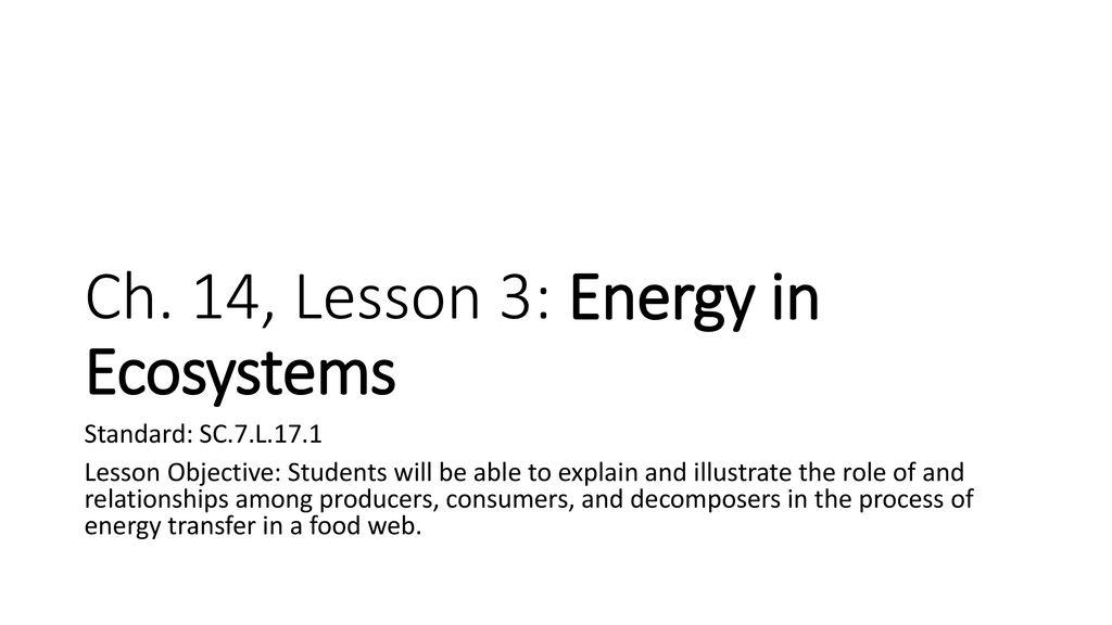 energy-in-ecosystems-chapter-14-lesson-ppt-download