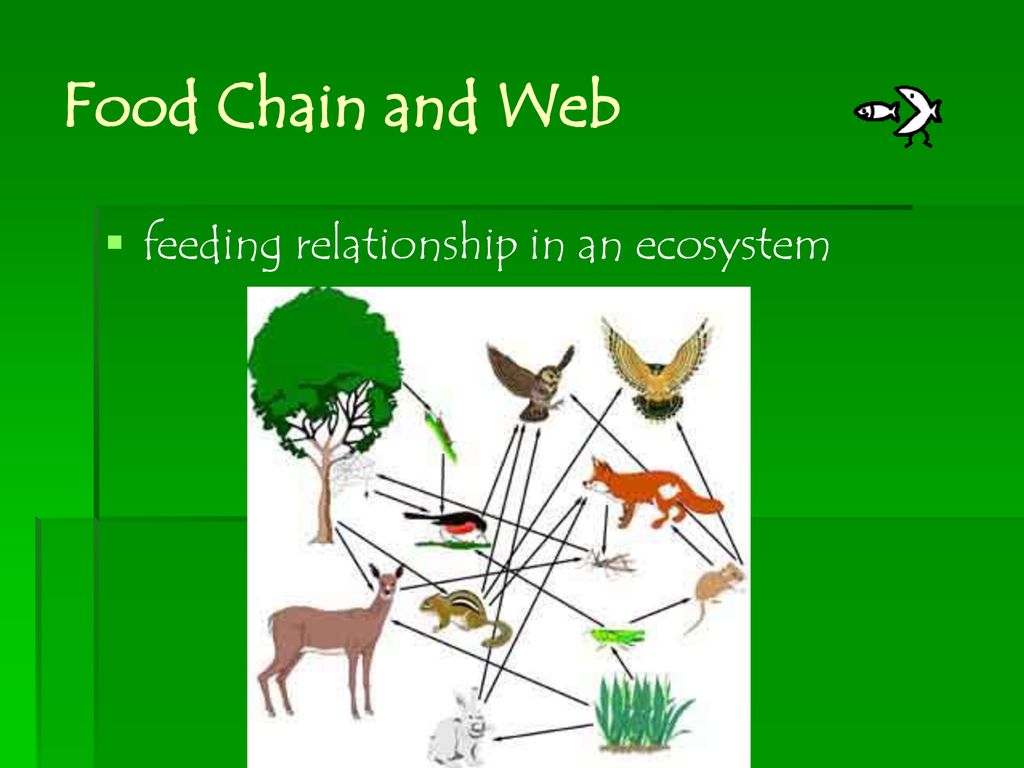ecology-notes-ppt-download