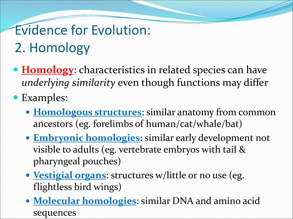 Ch. 22 Warm-Up Compare and contrast natural selection vs. artificial