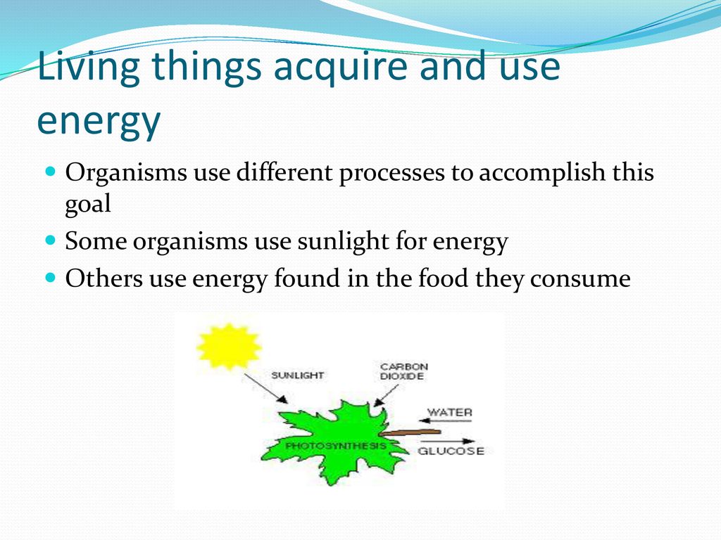 Living things acquire and use energy