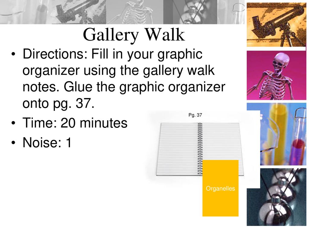 Gallery Walk Directions: Fill in your graphic organizer using the gallery walk notes. Glue the graphic organizer onto pg. 37.
