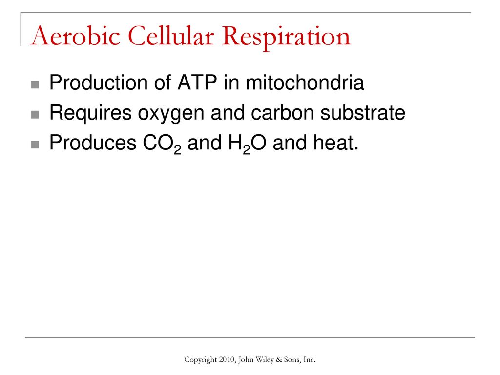 Chapter 8 The Muscular System - ppt download