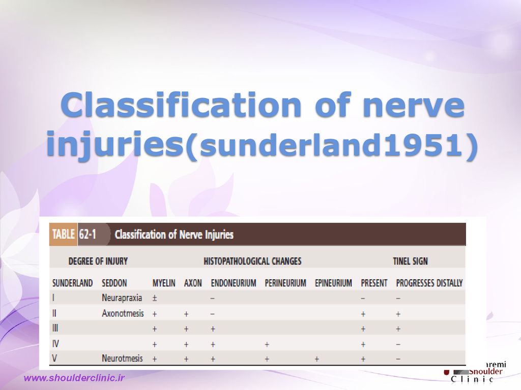 NERVE & TENDON injuries - ppt download