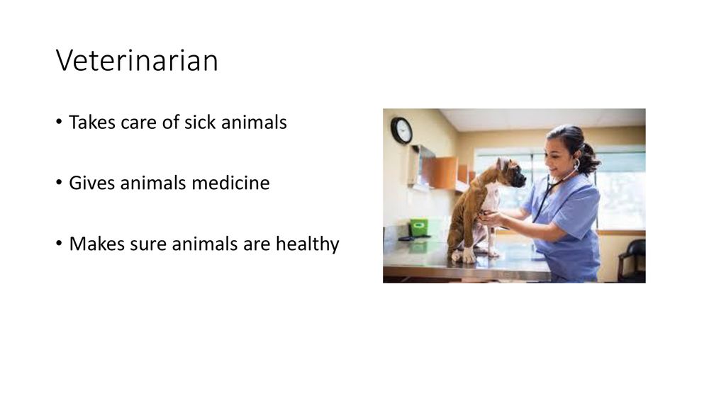 Caring for Animals. - ppt download