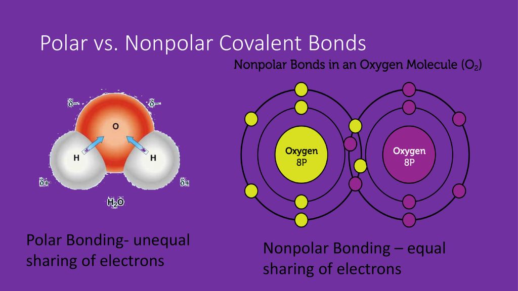 compounds-ppt-download