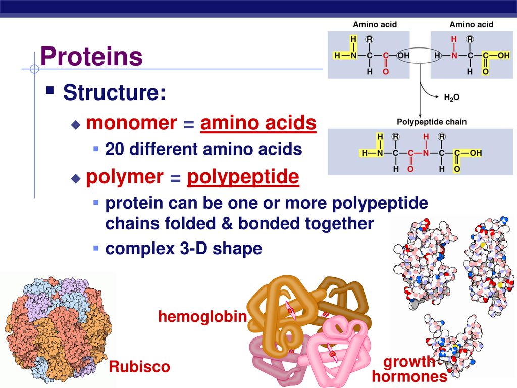 Multipurpose molecules - ppt download