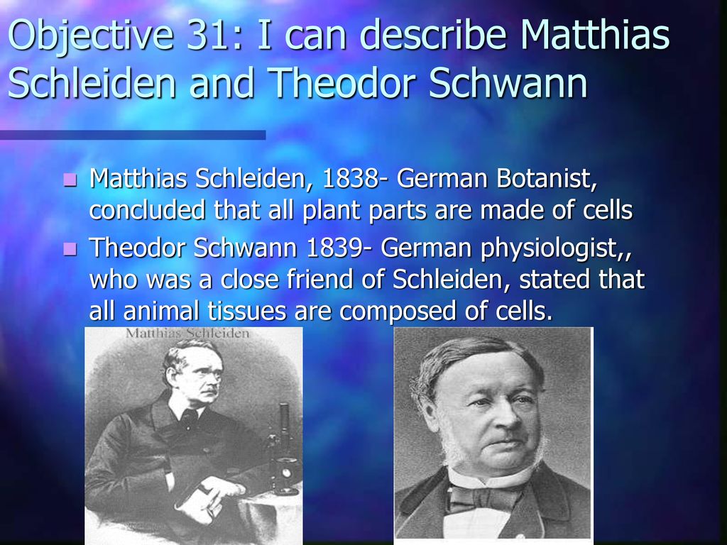 The Cell Theory. - ppt download