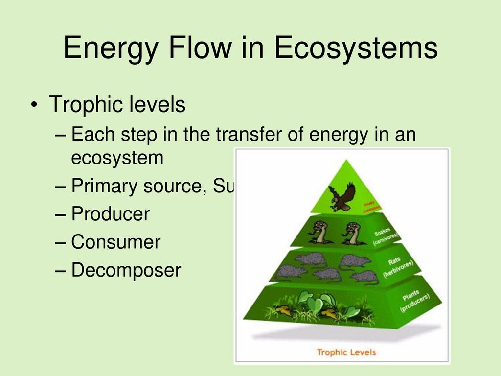 Components of Earth. - ppt download