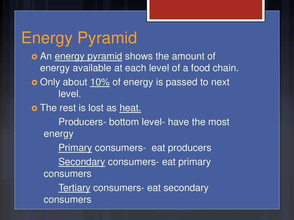 ppt download Biology Diagrams