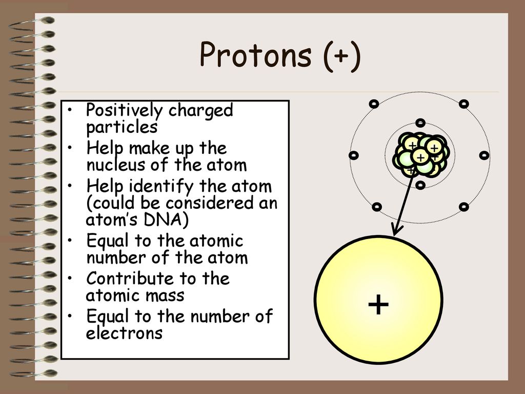 + Protons (+) Positively charged particles