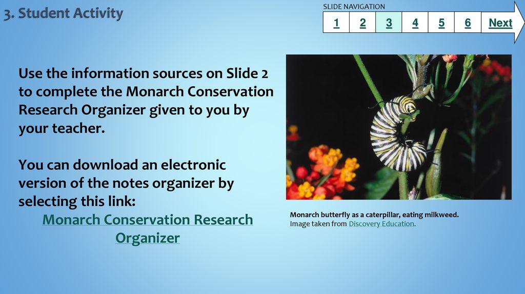 Monarch Conservation Research Organizer