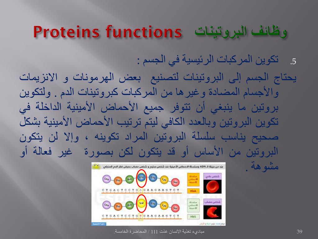 البروتينات يحتاج الجسم إليها من أجل