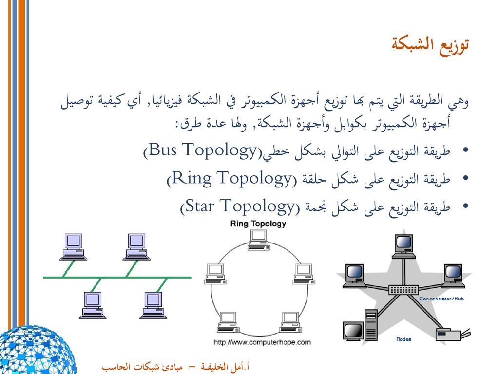 توزيع الشبكة وهي الطريقة التي يتم بها توزيع أجهزة الكمبيوتر في الشبكة فيزيائيا, أي كيفية توصيل أجهزة الكمبيوتر بكوابل وأجهزة الشبكة, ولها عدة طرق: