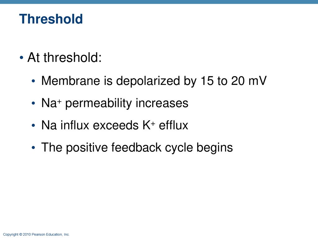 Threshold At threshold: Membrane is depolarized by 15 to 20 mV