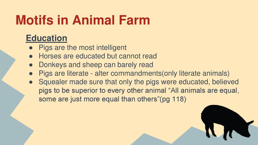 education in animal farm