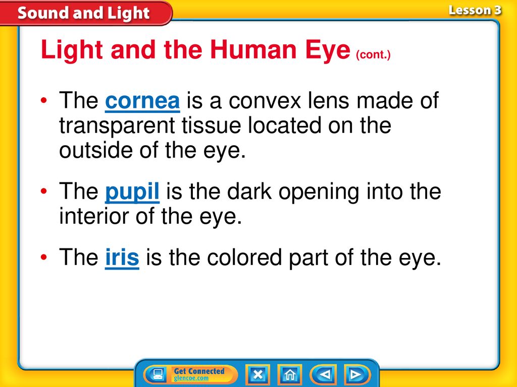 Lesson 3 Mirrors, Lenses, and the Eye Chapter Wrap-Up - ppt download