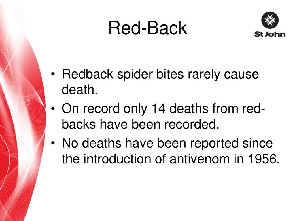 Red-Back Redback spider bites rarely cause death.