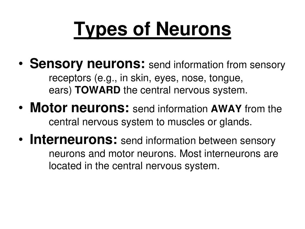 Approaches/Perspectives - ppt download