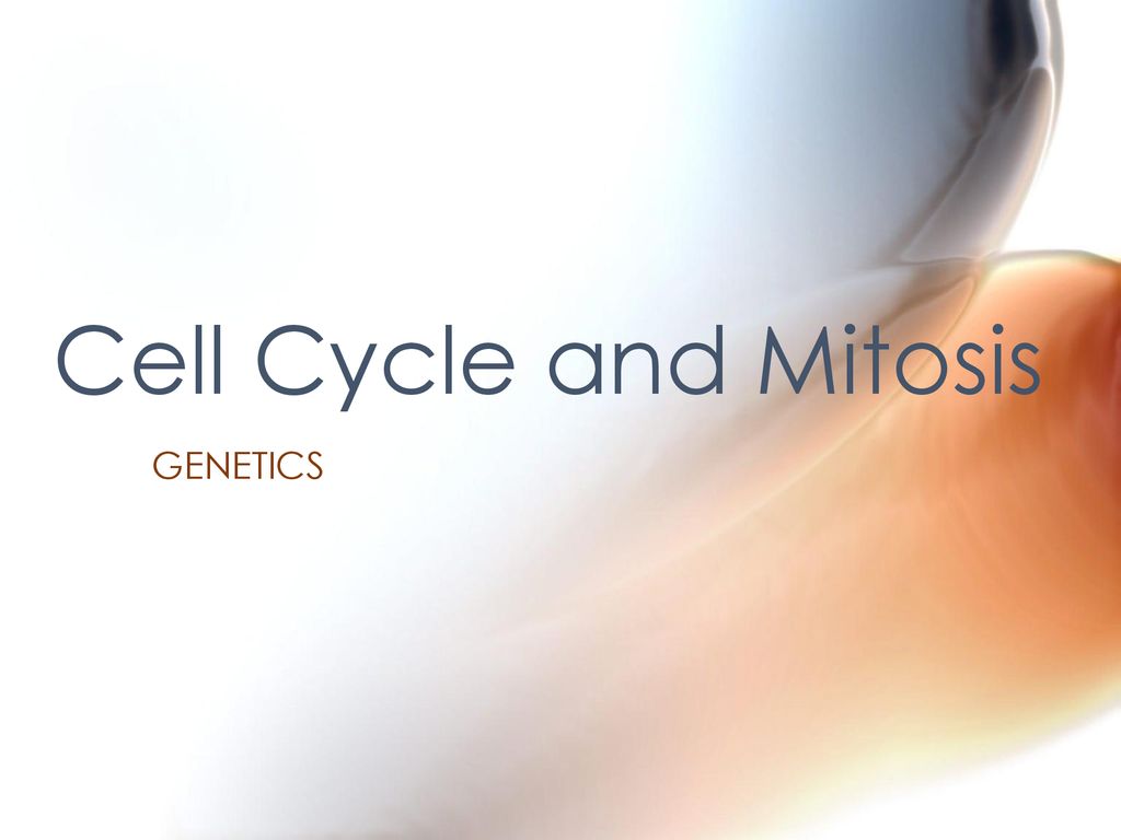 Cell Cycle and Mitosis GENETICS. Biology Diagrams